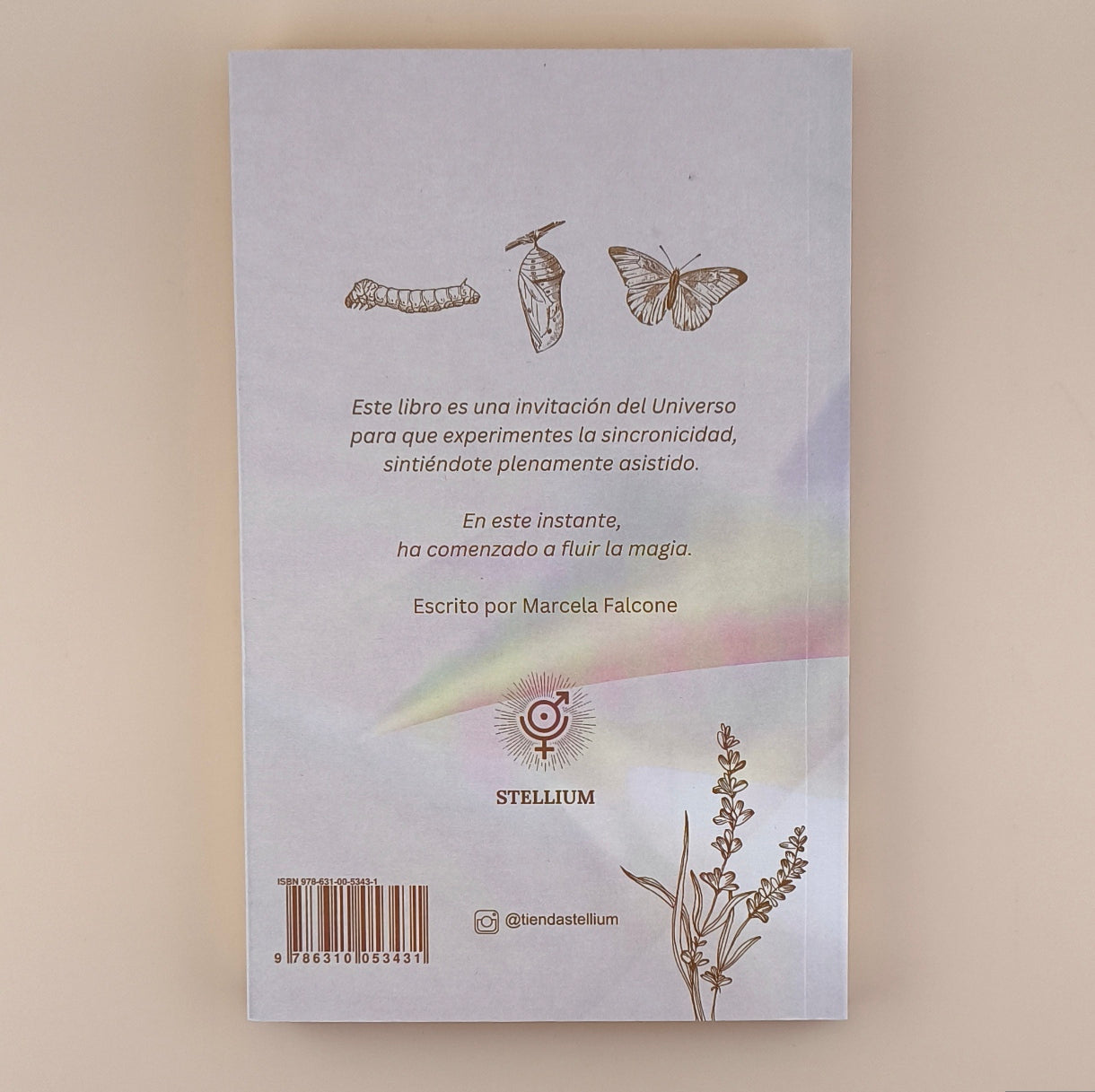 Sincronexión 11:11 Mensajes Universales